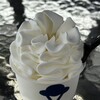 FORTUNE ICE CREAM - 