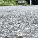 穀菜茶房 こと葉 - 