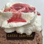 カカオサンパカ 大丸梅田店 - いちごソース