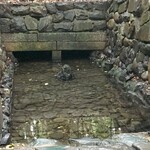 あつた蓬莱軒 - 清水社（これ試験に出ます）