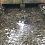 あつた蓬莱軒 - 清水社（これ試験に出ます）