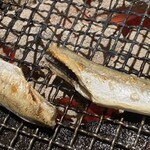 七厘 - こまいの一夜干し