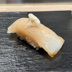 札幌魚河岸 五十七番寿し - 真イカ、山わさび