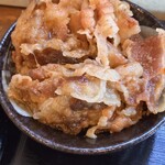 よがなうどん - 肉がうまい