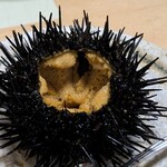 やんちゃぼうず - 