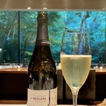 アルカナイズ - 