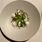 アルカナイズ - 真蛸 胡瓜 バジル 海ぶどう