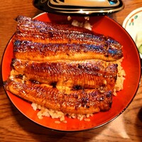 吉寅 - 鰻丼