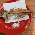 上野イカセンター - 