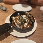 レコルタ カーブドッチ - 