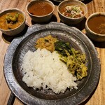 スパイスカフェ - カレー4種（ラムキーマ、海老、ポークビンダル、骨付きチキン）