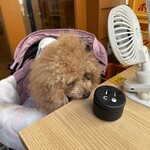 大衆酒場 晩杯屋 蒲田西口店 - シェリ①