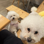 サッカバッカ - ぷーちゃんとへいちゃん