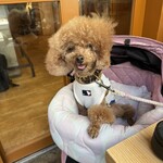 大衆酒場 晩杯屋 - シェリ③