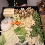 エンゼルフォレスト - 