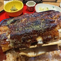 炭焼 うな富士 有楽町店 - 