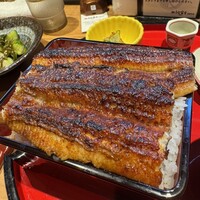 炭焼 うな富士 有楽町店 - 