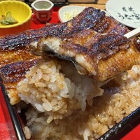 炭焼 うな富士 有楽町店 - 