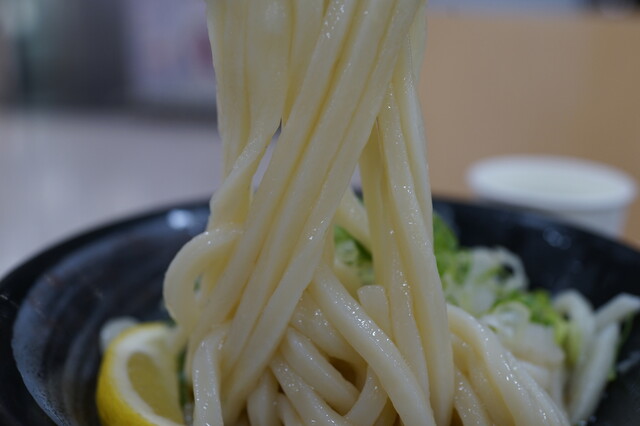 はなまるうどん イオン福島店｜コスパ抜群のセルフうどん