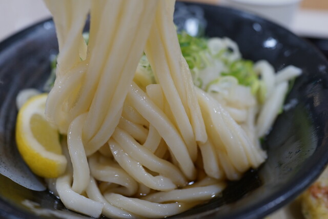 はなまるうどん イオン福島店 - 泉（福島交通）（うどん）の写真