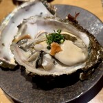 魚と酒 めから鱗 - 生牡蠣