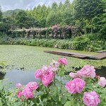 イレブンシス ティールームス - エントランス近くのアーチを臨む