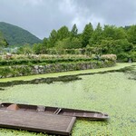 イレブンシス ティールームス - レマン湖の向こうにもバラ園が