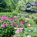 イレブンシス ティールームス - テラス席は青い屋根の下なので気になりません