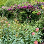 イレブンシス ティールームス - 