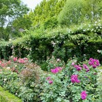 イレブンシス ティールームス - 