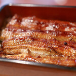 満嬉多 - 鰻 梅(並)☆