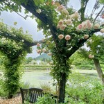 イレブンシス ティールームス - ベンチが所々にあります