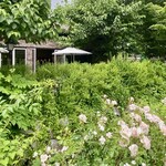 イレブンシス ティールームス - レイクガーデンから見たテラス席