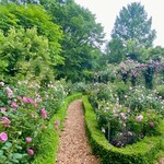 イレブンシス ティールームス - 