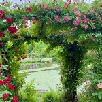 イレブンシス ティールームス - アーチの向こうにレマン湖