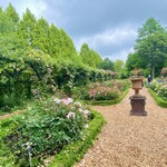 イレブンシス ティールームス - フランス式