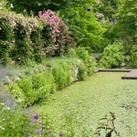 イレブンシス ティールームス - 