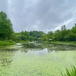 イレブンシス ティールームス - 