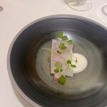 Noeud.×THE CHEF'S - 