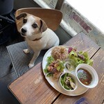 アラスカ ツヴァイ - 