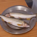 L'Harmonie - (参考)食事を終えてから話の流れで、鮎を見せていただきました。