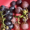 葡萄のふくおか