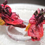 ランチコース 7865円 の勝浦のかつお 赤色の野菜 ビーツ アマランサス 赤しそ