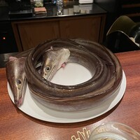 蒼 - 