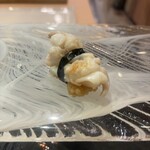 鮨処 ざね - 新イカ　ゲソ