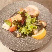Rojoc - 