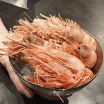 寿司栄 - 手前:シマエビ　奥:鬼エビ