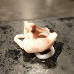 寿司栄 - 真イカゲソ