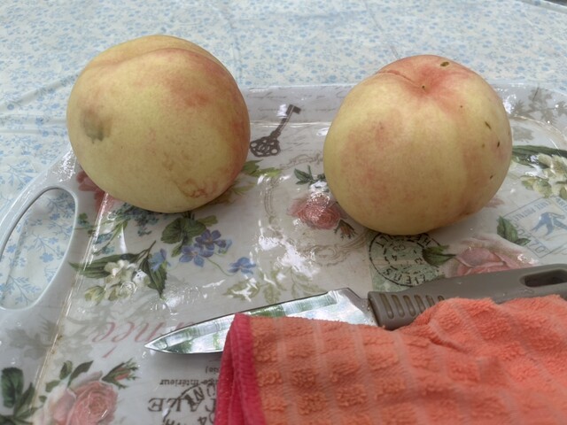 がぶりガーデン - 会津本郷（その他）の写真