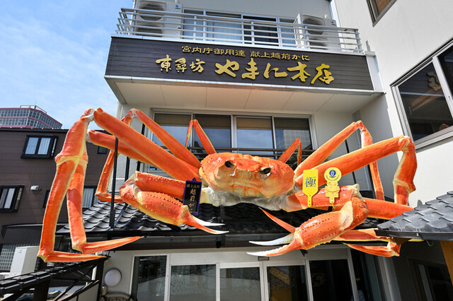 越前がに やまに水産 （えちぜんがにやまにすいさん） - 三国港/海鮮